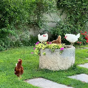  Alloggio per agriturismo Terre Di Senia